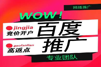 某行业巨头背后的百度竞价代运营公司